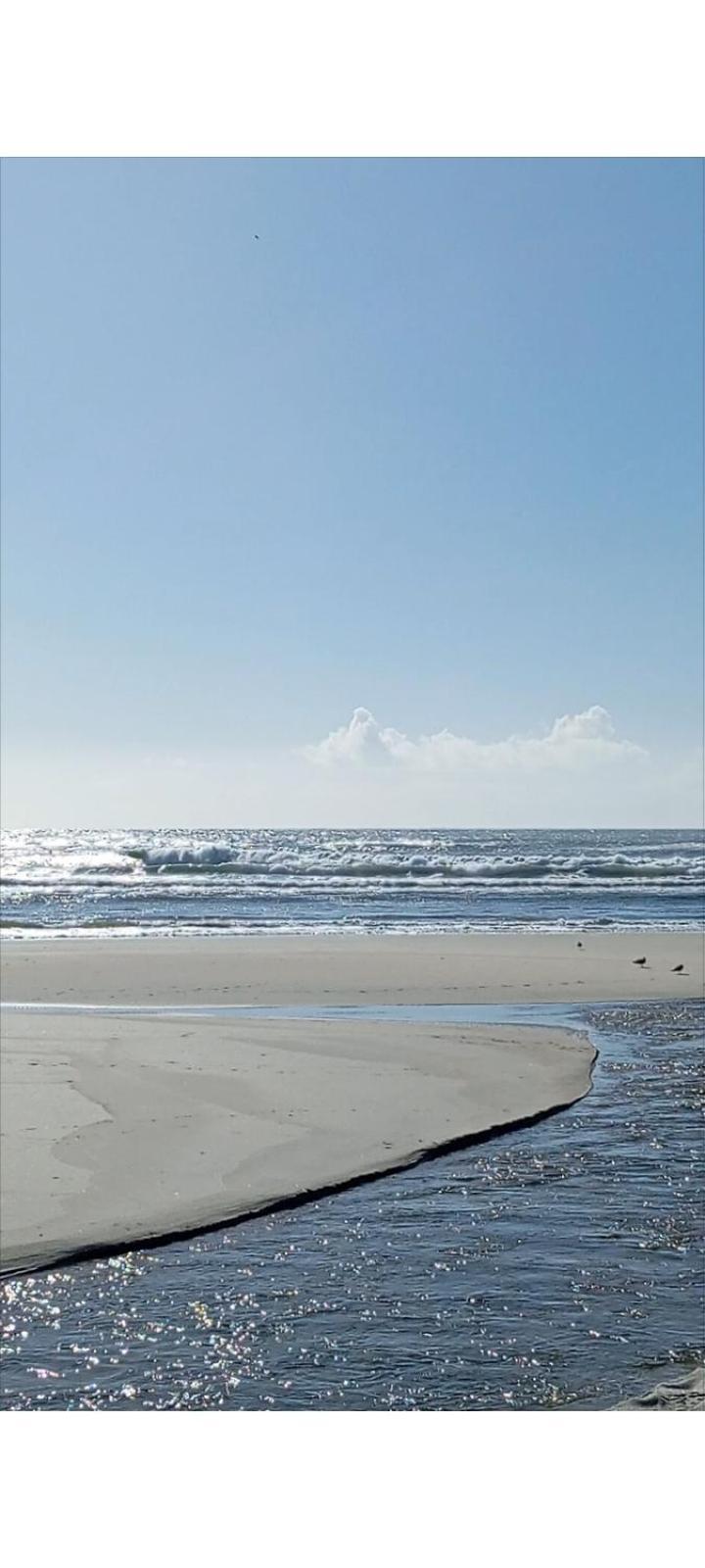 Atico Maravilloso En Cangas , Vigo Ruang foto